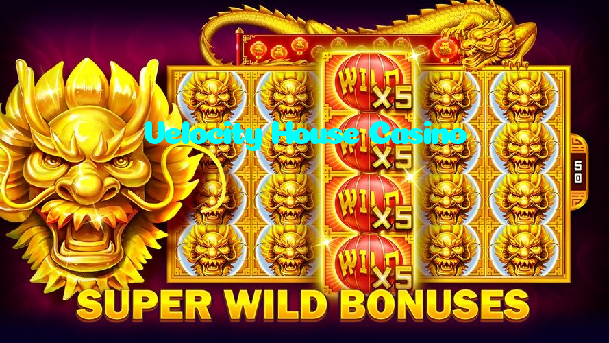 available types of Velocity House Casino bet including pre-match live express and system bets